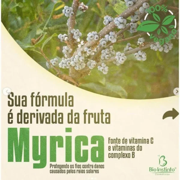 kit Vegan Cera Vegana 4x1- Bio Instinto - Image 3